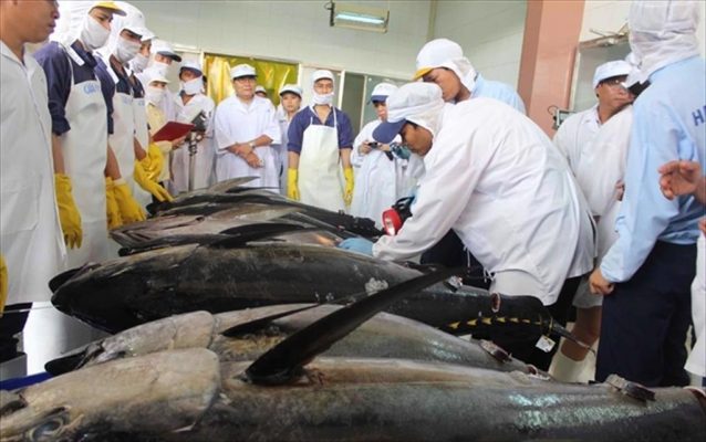 Vietnam tuna exports peaked in the first quarter of 2022