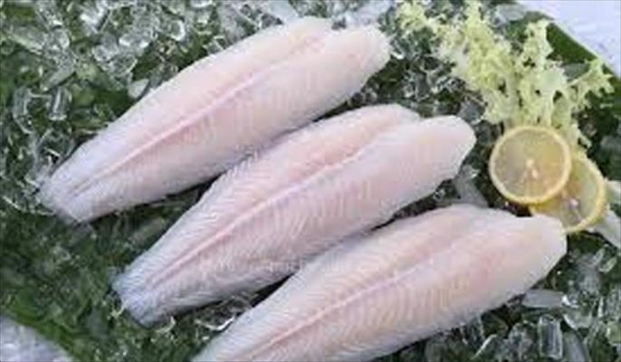Many pangasius exporters are targeting Mexico Egypt and Thailand